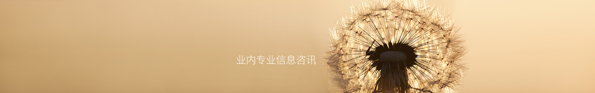 zhanhaixiang